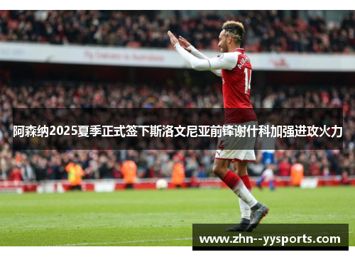 阿森纳2025夏季正式签下斯洛文尼亚前锋谢什科加强进攻火力